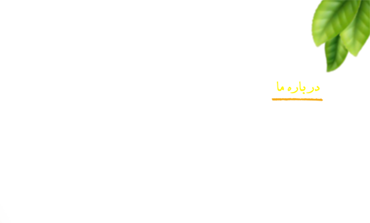 چنار چشمه